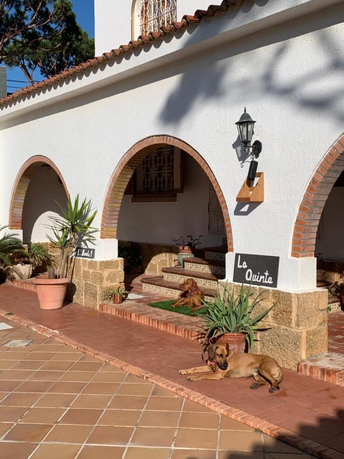 Villa La Quinta - La Barrosa Chiclana de la Frontera Exterior foto